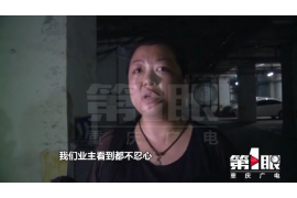 青浦清债公司：专业清收债务，助力企业稳健发展