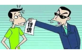 马关要账公司电话号码查询：高效解决债务问题的可靠途径